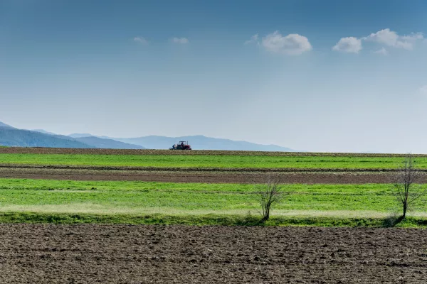 Фотография продукта 